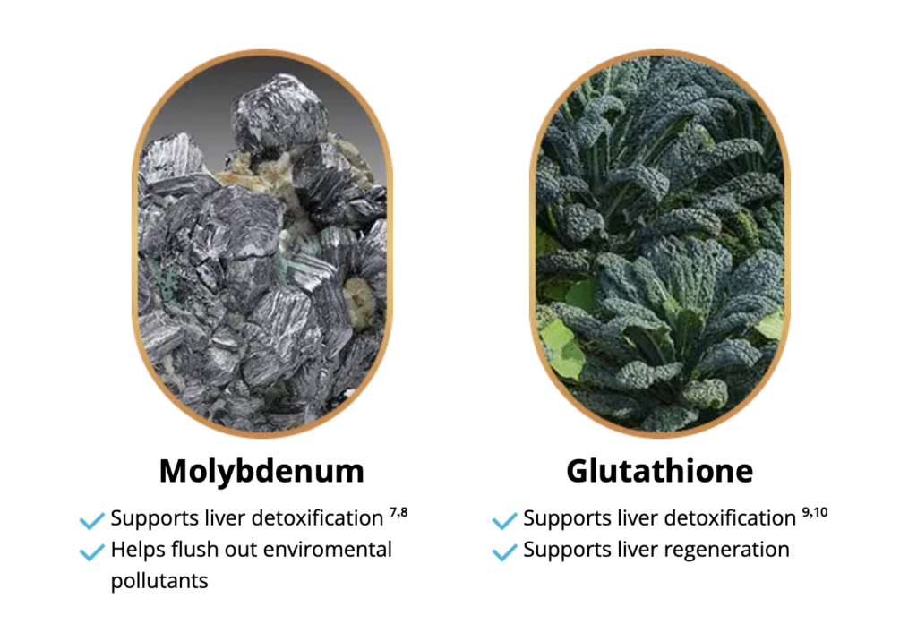 Molybdenum
Glutathione
Banner Images